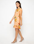 Chanira Caroline Dress